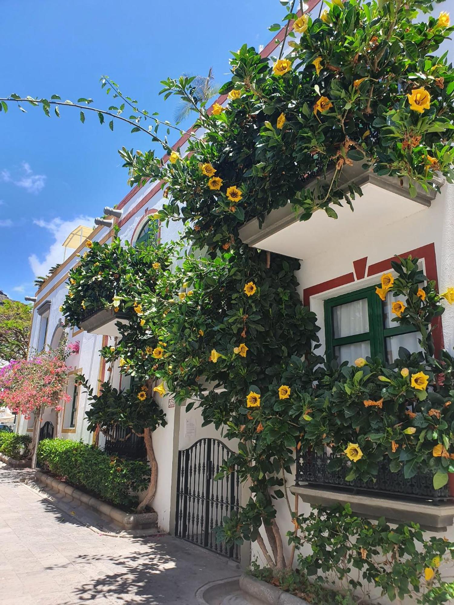 Billy'S Puerto De Mogan Apartments By Livvo Dış mekan fotoğraf