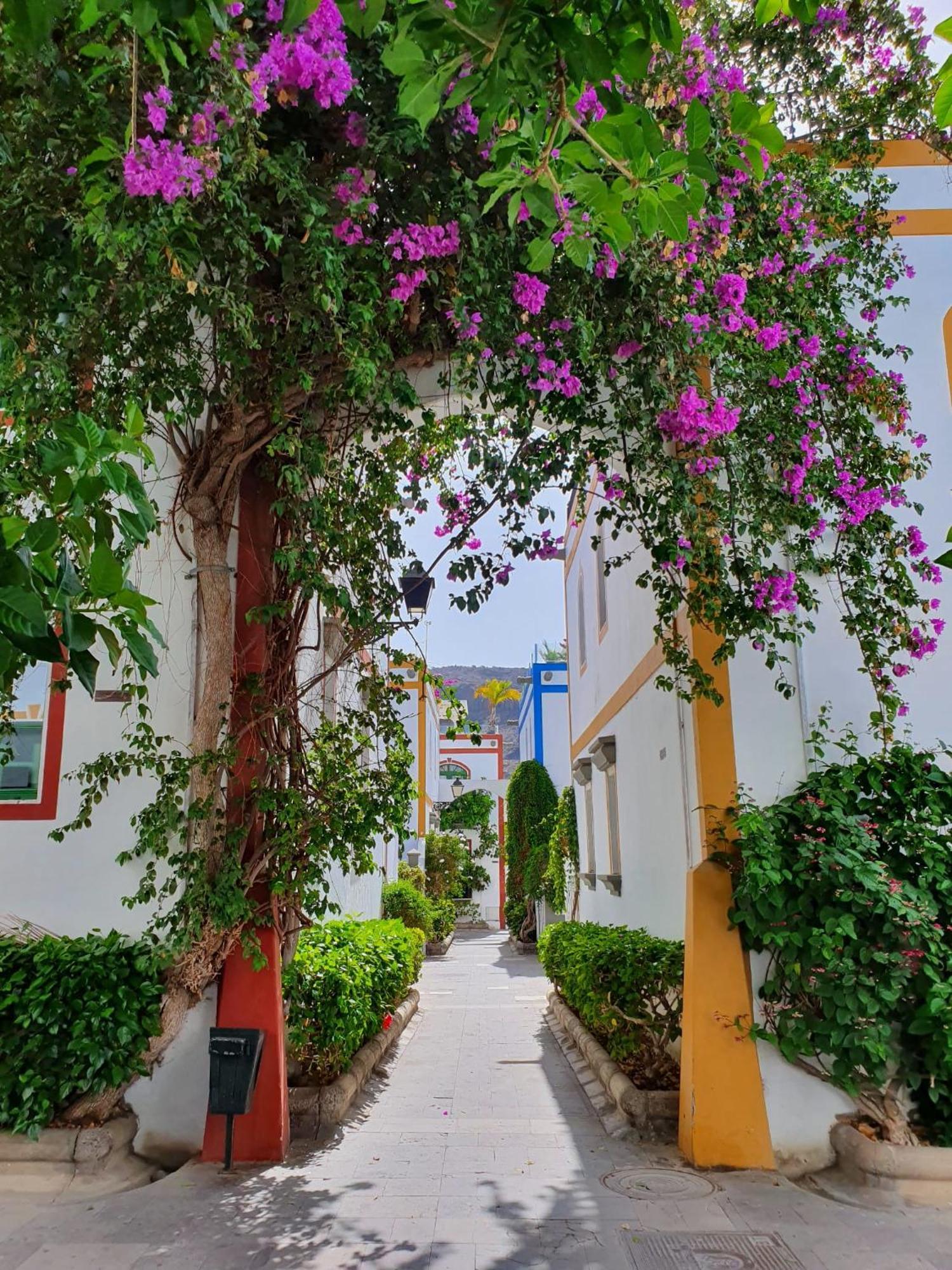 Billy'S Puerto De Mogan Apartments By Livvo Dış mekan fotoğraf