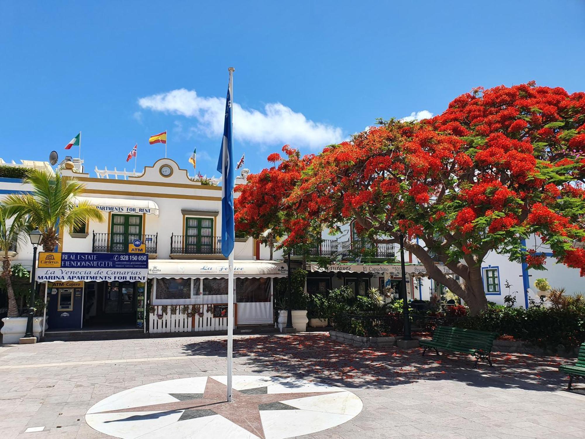 Billy'S Puerto De Mogan Apartments By Livvo Dış mekan fotoğraf